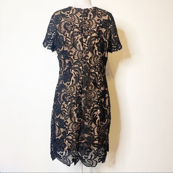 NWT Dress the population Anna lace sheath dress sz XL - Picture 7 of 8
